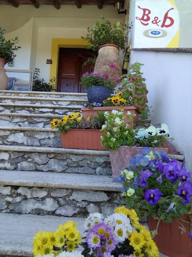 Casa D' Artista B&B Ozieri Bagian luar foto