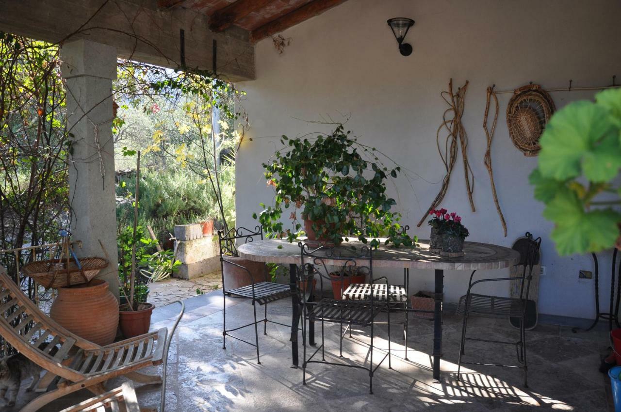 Casa D' Artista B&B Ozieri Bagian luar foto