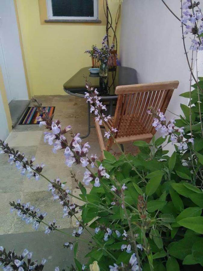 Casa D' Artista B&B Ozieri Bagian luar foto