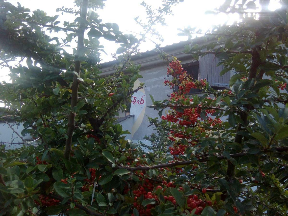 Casa D' Artista B&B Ozieri Bagian luar foto