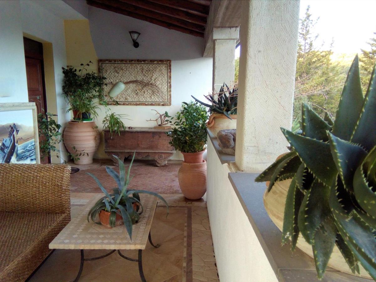 Casa D' Artista B&B Ozieri Bagian luar foto
